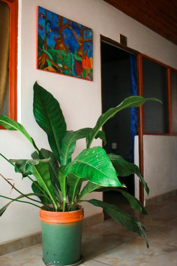 Casa Pacha Hotel Guaduas Exterior photo